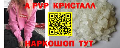 гидра Будённовск