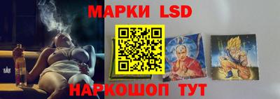 гидра Будённовск