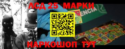 гидра Будённовск