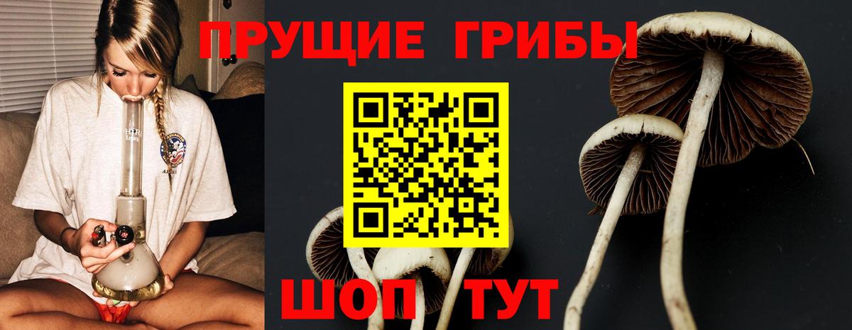 Псилоцибиновые грибы мухоморы  Вход с VPN  Георгиевск 